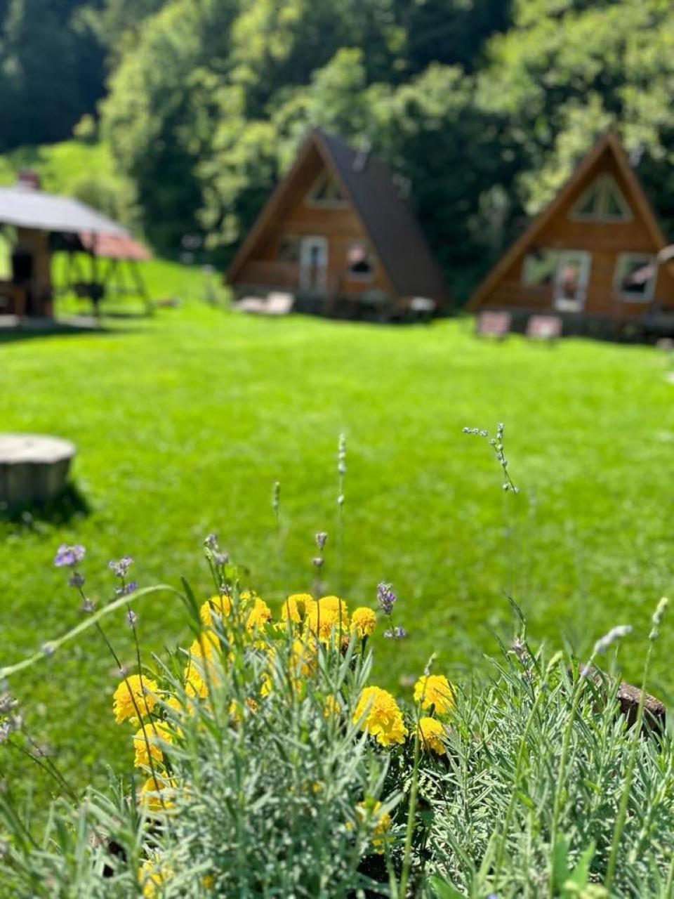 Cabanutze Satic Villa Rucăr Exteriör bild