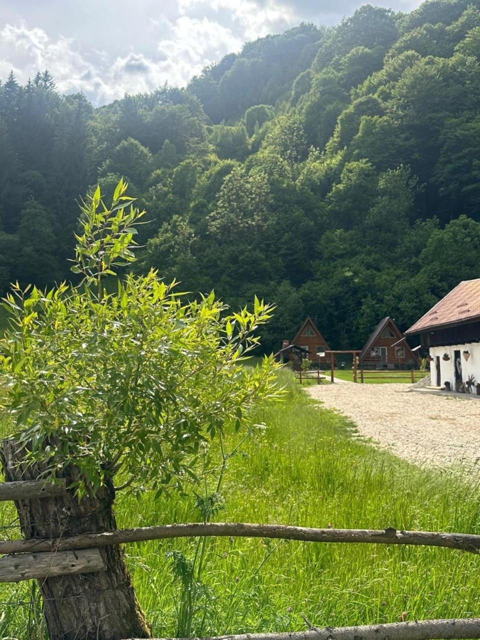 Cabanutze Satic Villa Rucăr Exteriör bild